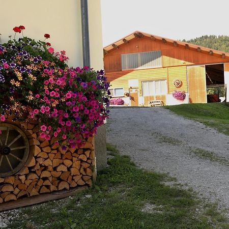 Stapflhof Apartment Bad Aussee Exterior foto